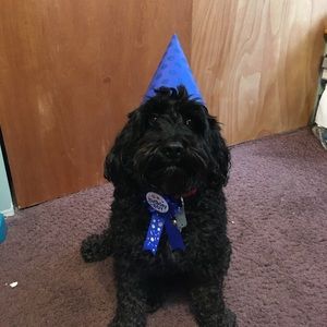 Meet your Posher, Carmela